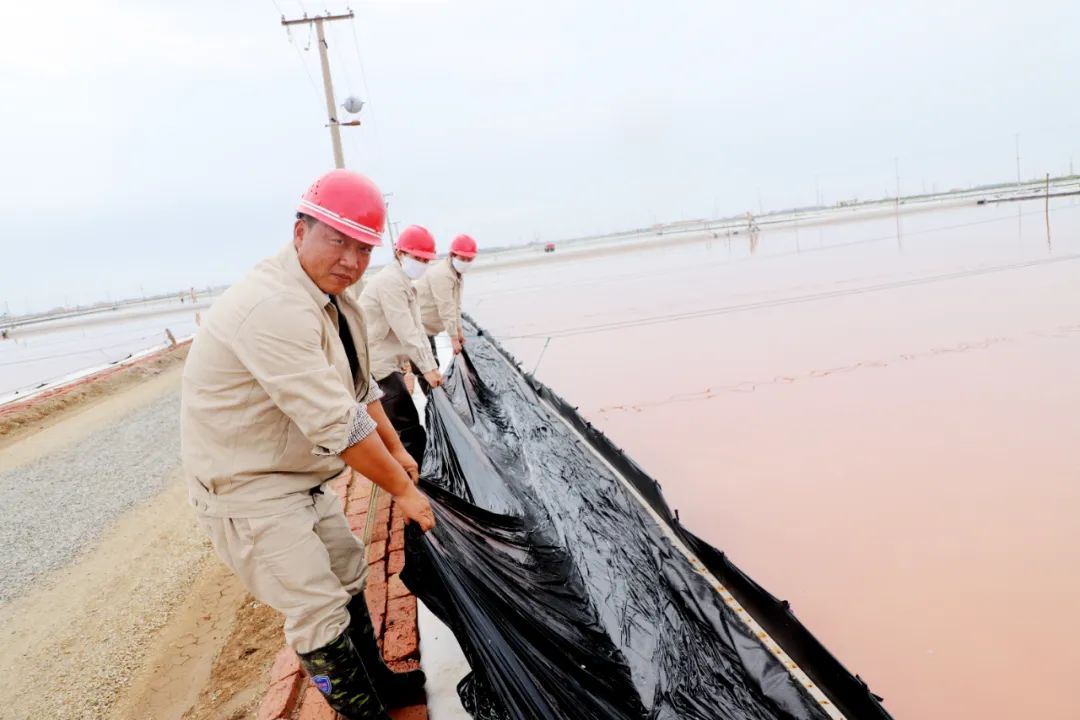 /gb2312/qishiyegonghui/13417.html